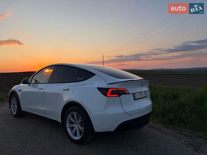 Внедорожник / Кроссовер Tesla Model Y 2021 в Черновцах