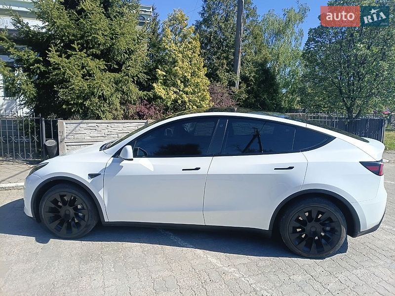 Позашляховик / Кросовер Tesla Model Y 2023 в Запоріжжі