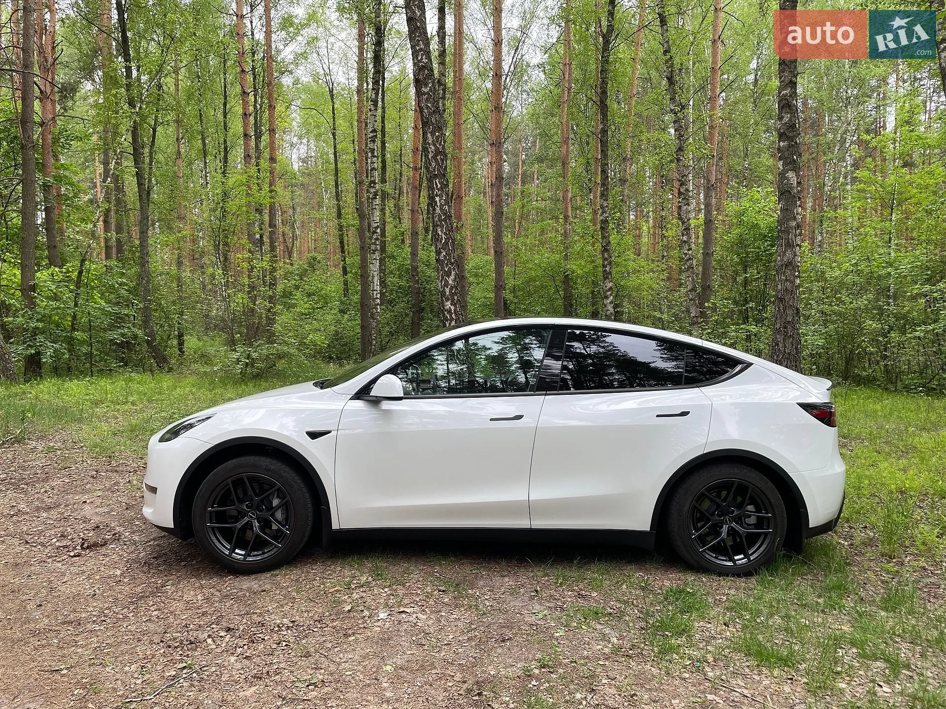 2022 Tesla Model Y - мініатюра 2