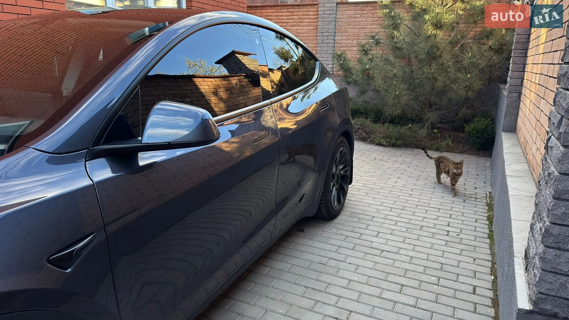 2023 Tesla Model Y - мініатюра 22