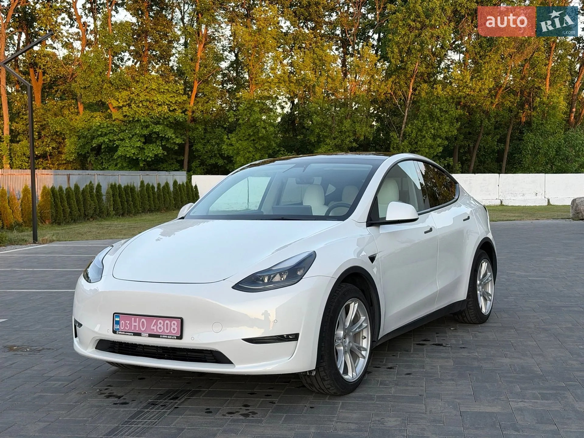 2021 Tesla Model Y - фото 1