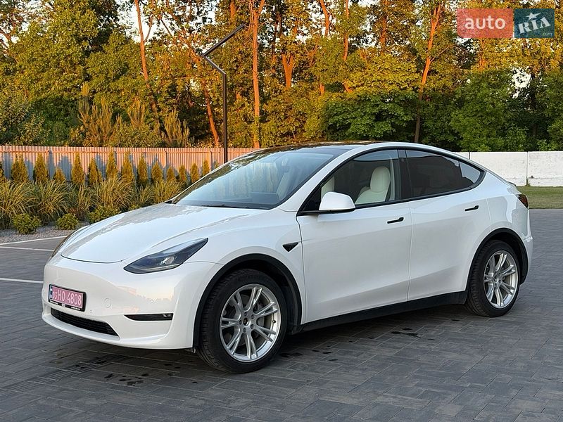 Позашляховик / Кросовер Tesla Model Y 2021 в Луцьку