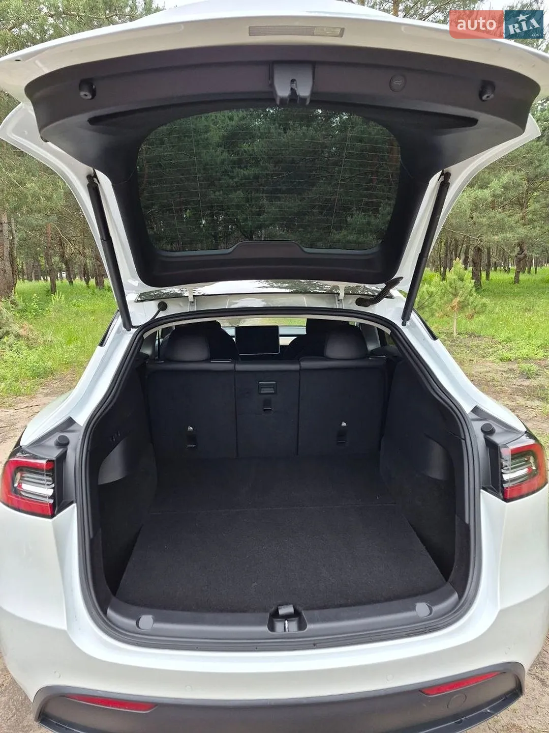 2021 Tesla Model Y - мініатюра 14