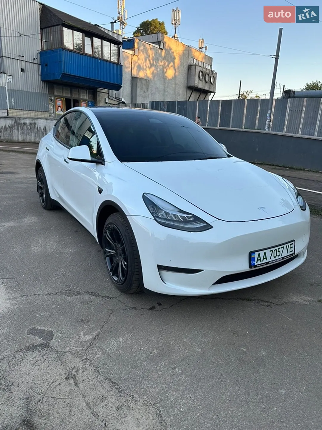 2022 Tesla Model Y - фото 1