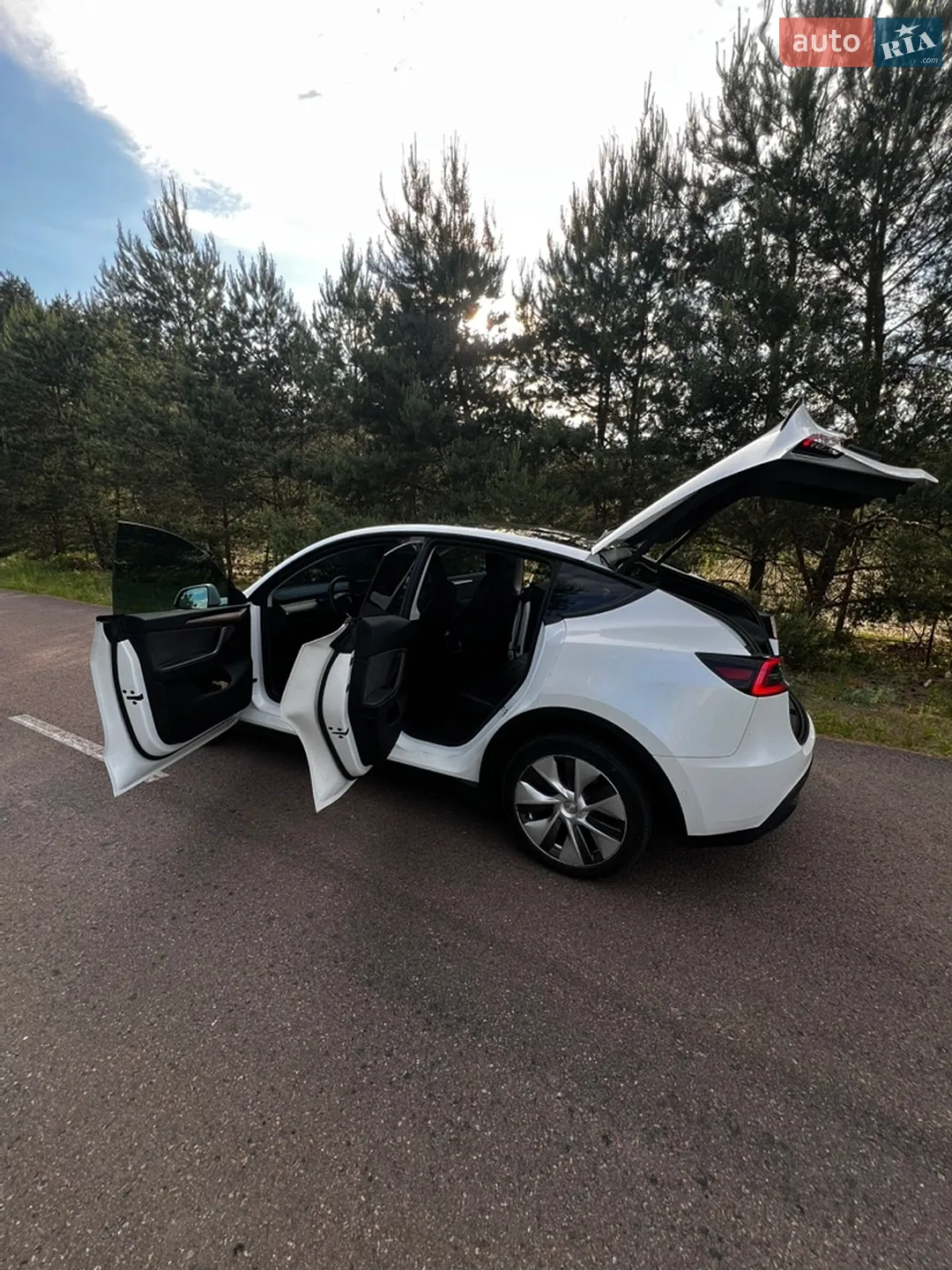 2022 Tesla Model Y - мініатюра 5