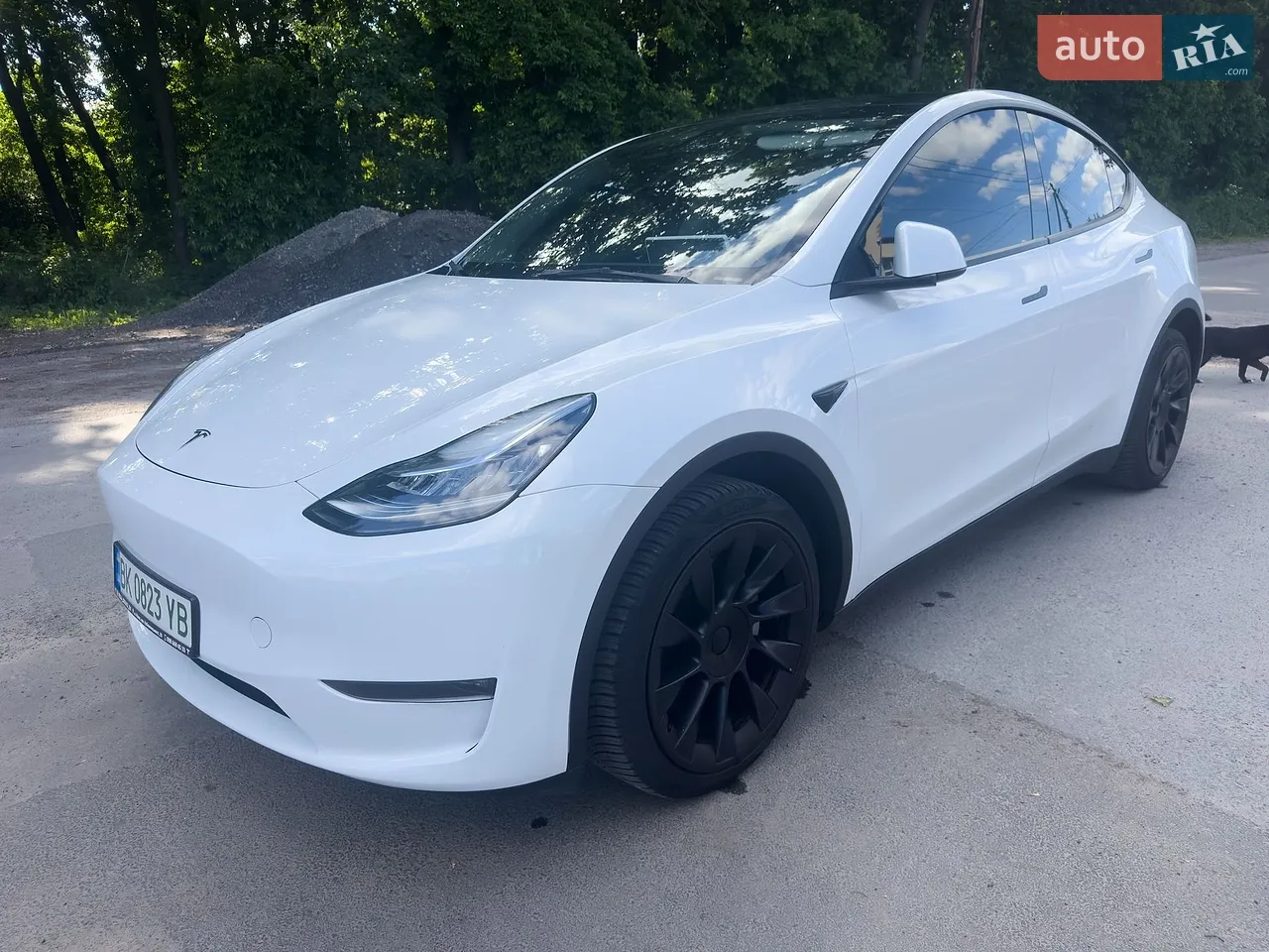 2024 Tesla Model Y - мініатюра 25