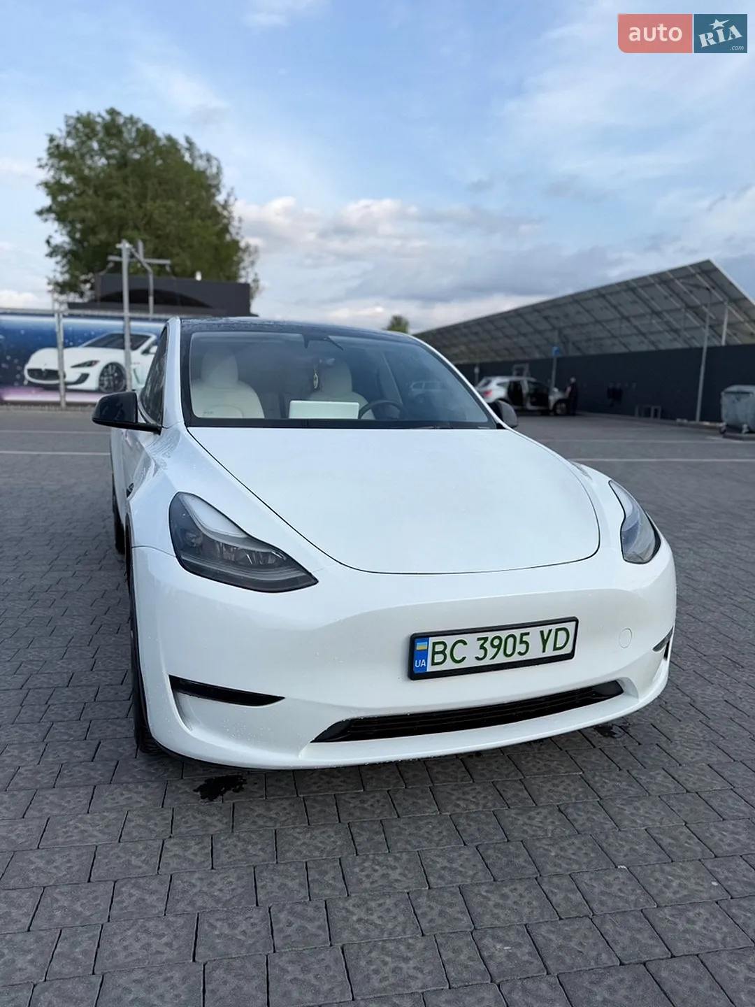 2022 Tesla Model Y - фото 1