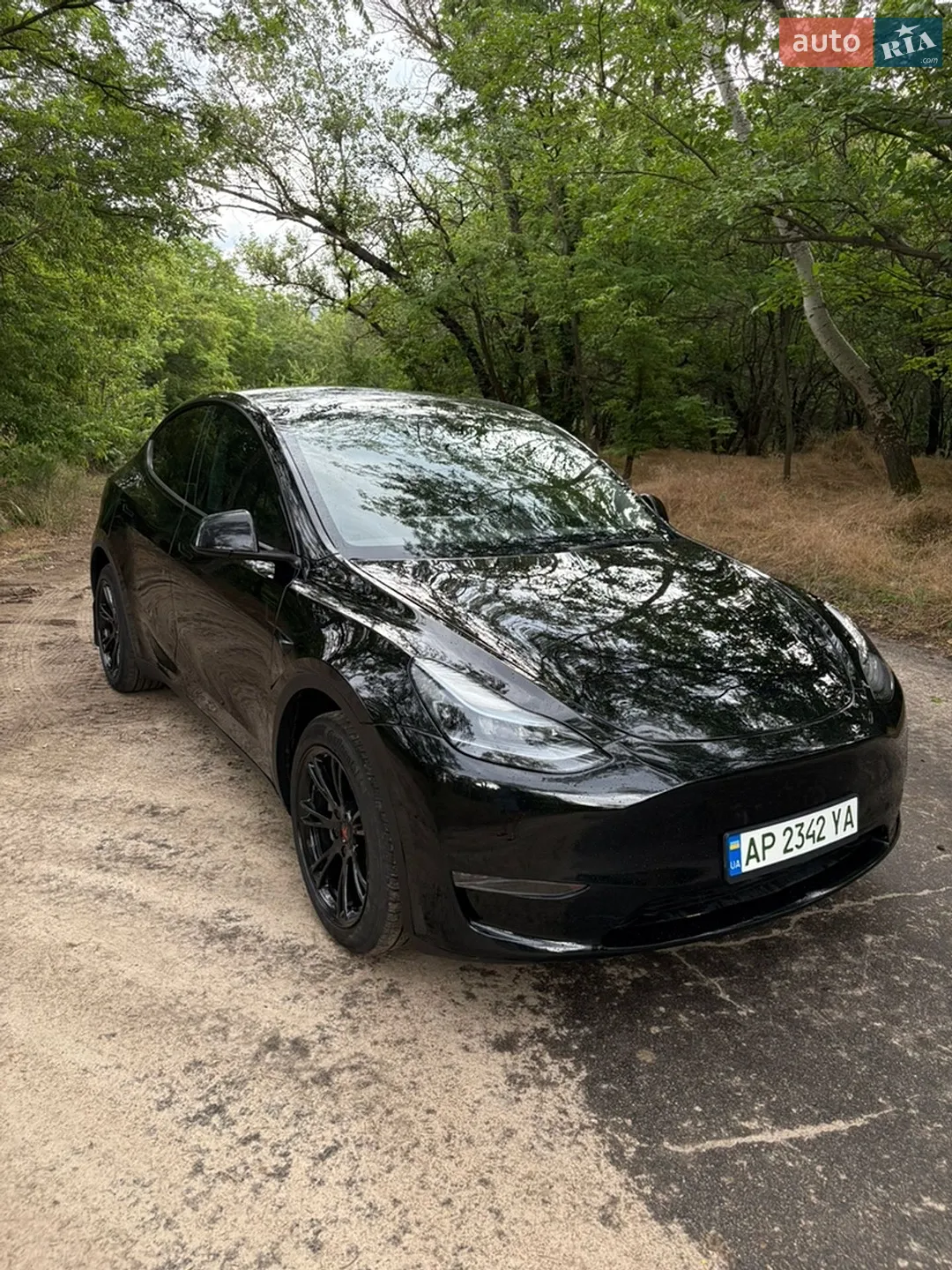 2024 Tesla Model Y - фото 1