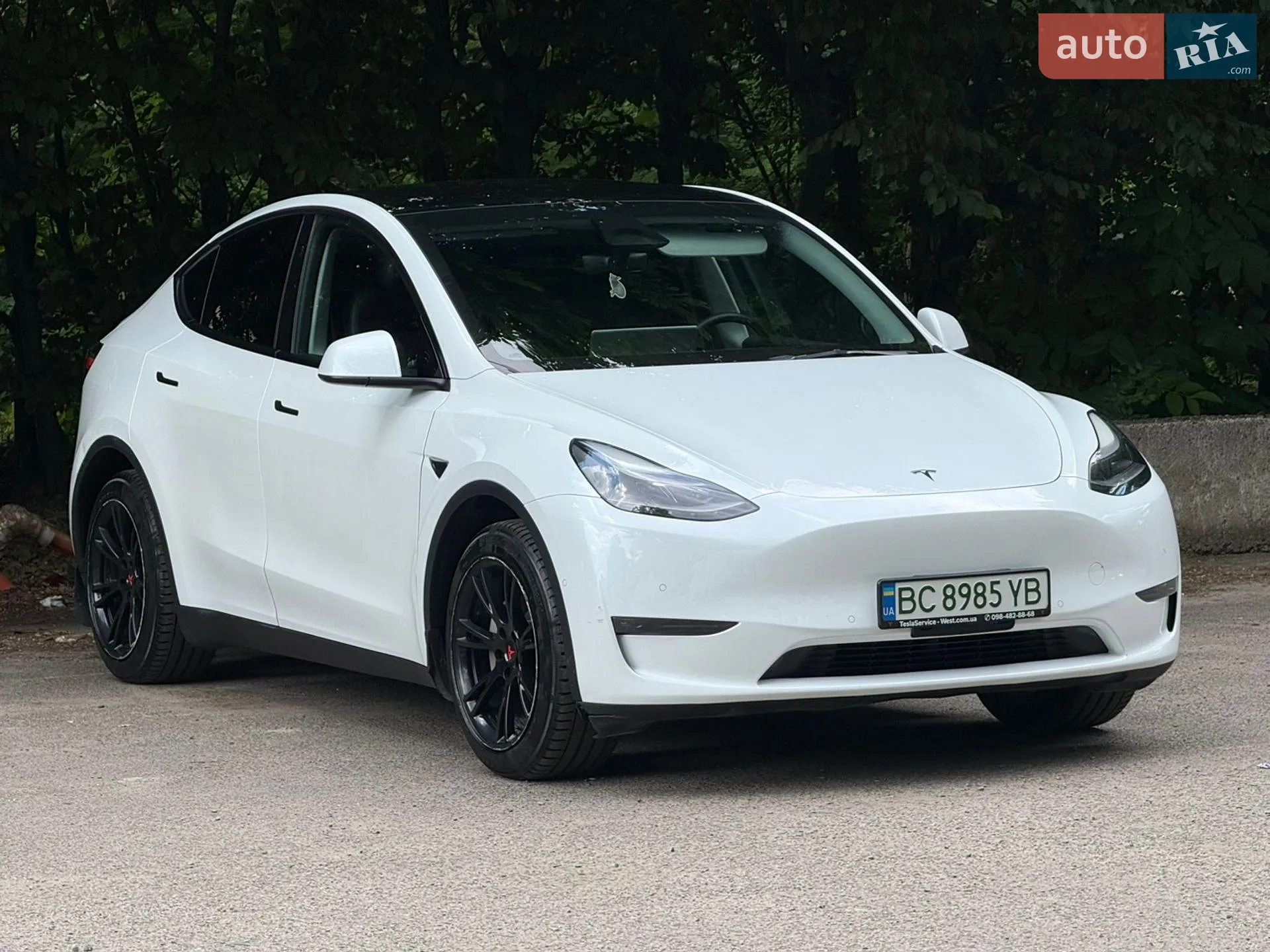 2023 Tesla Model Y - фото 1