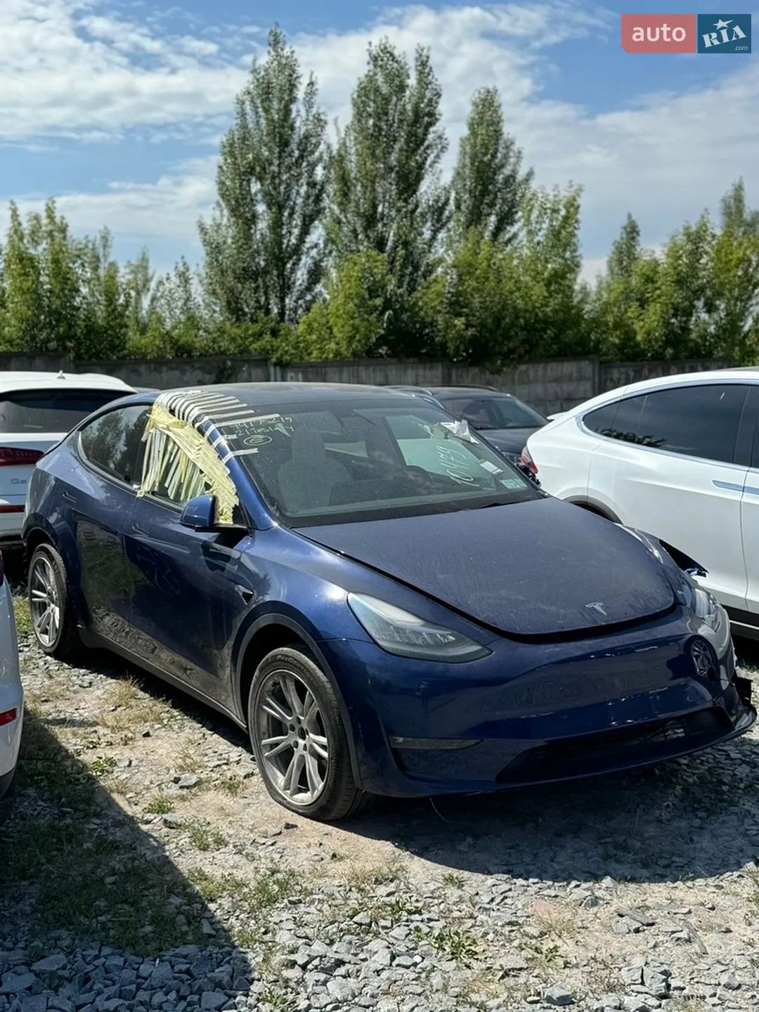 2021 Tesla Model Y - фото 1