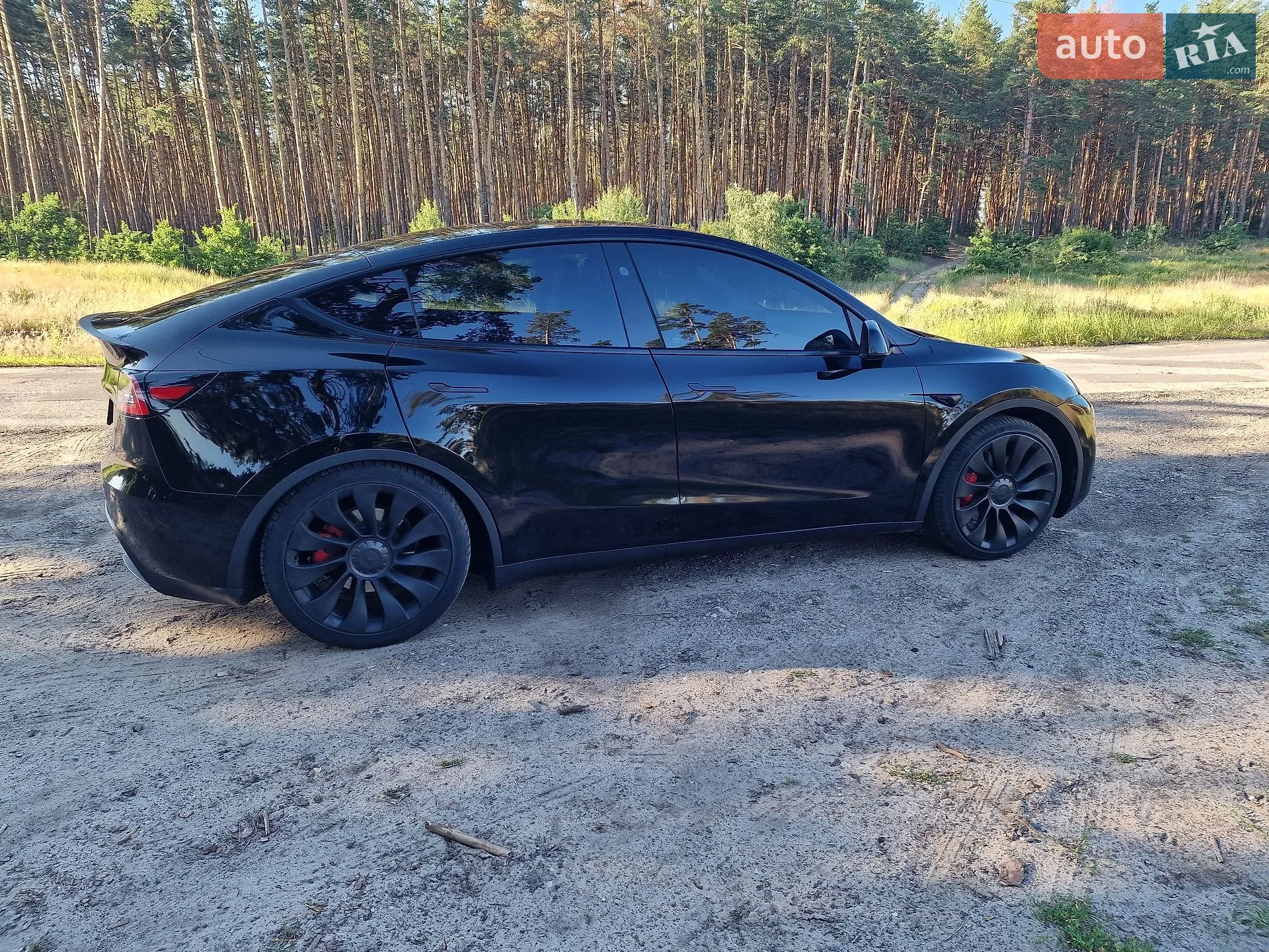 2023 Tesla Model Y - мініатюра 11