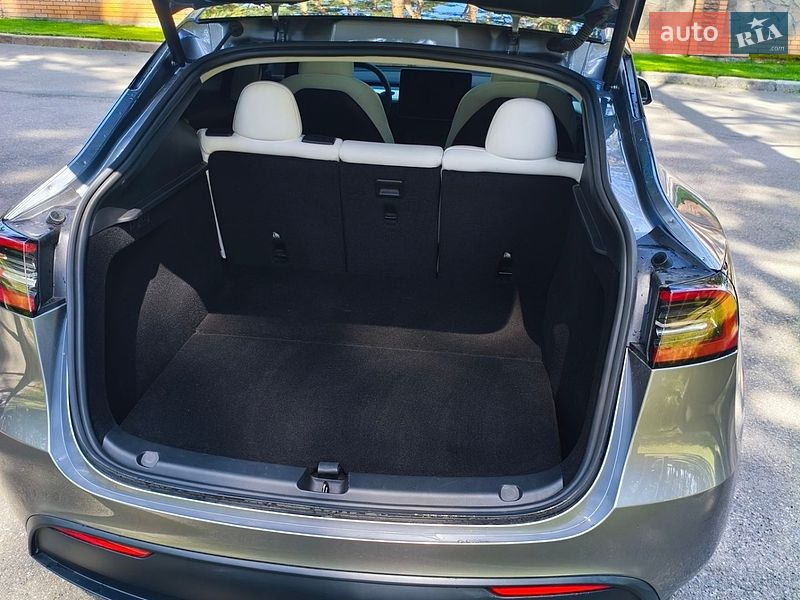 Позашляховик / Кросовер Tesla Model Y 2024 в Чернігові