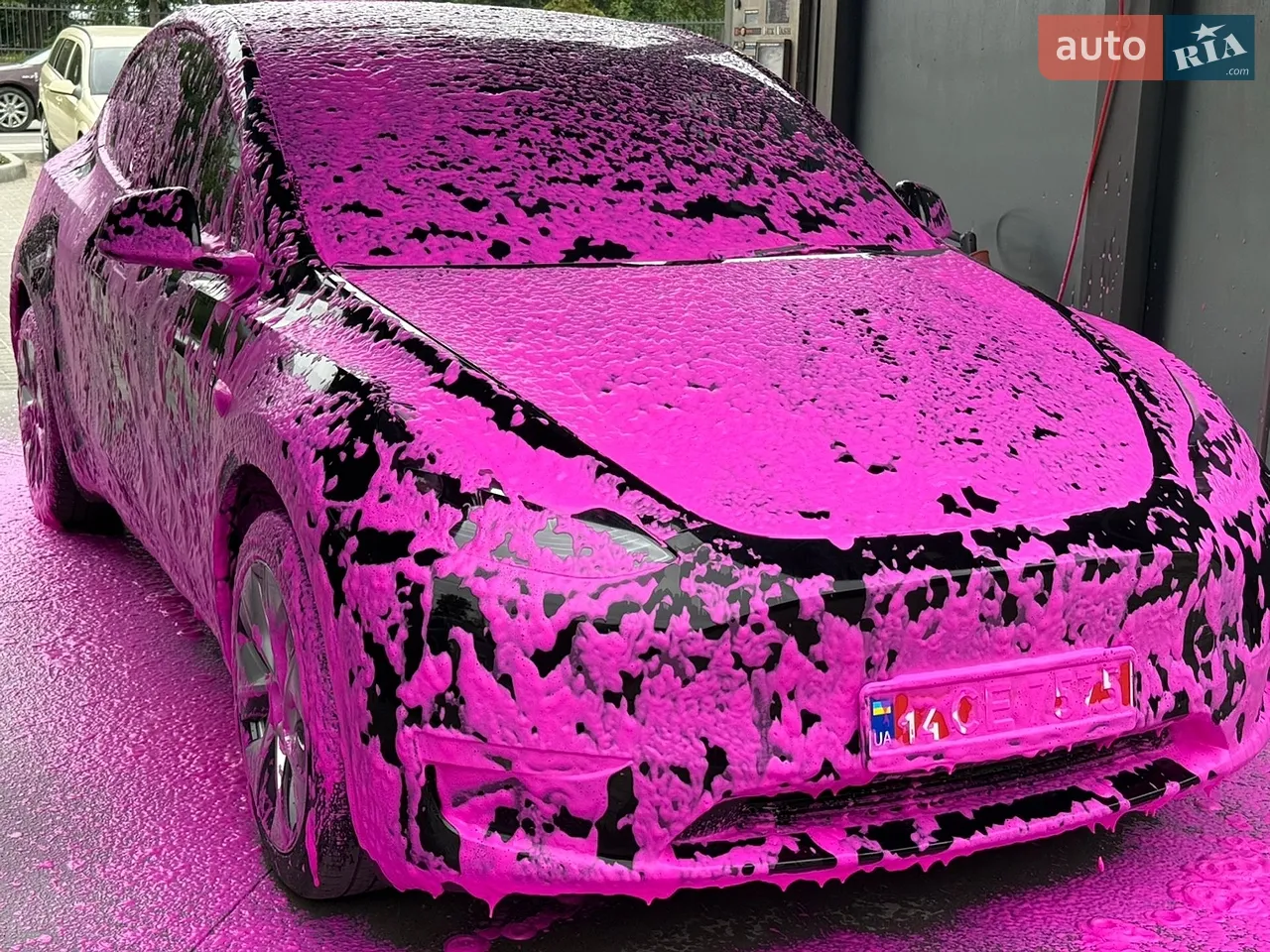 2024 Kia Niro - мініатюра 2