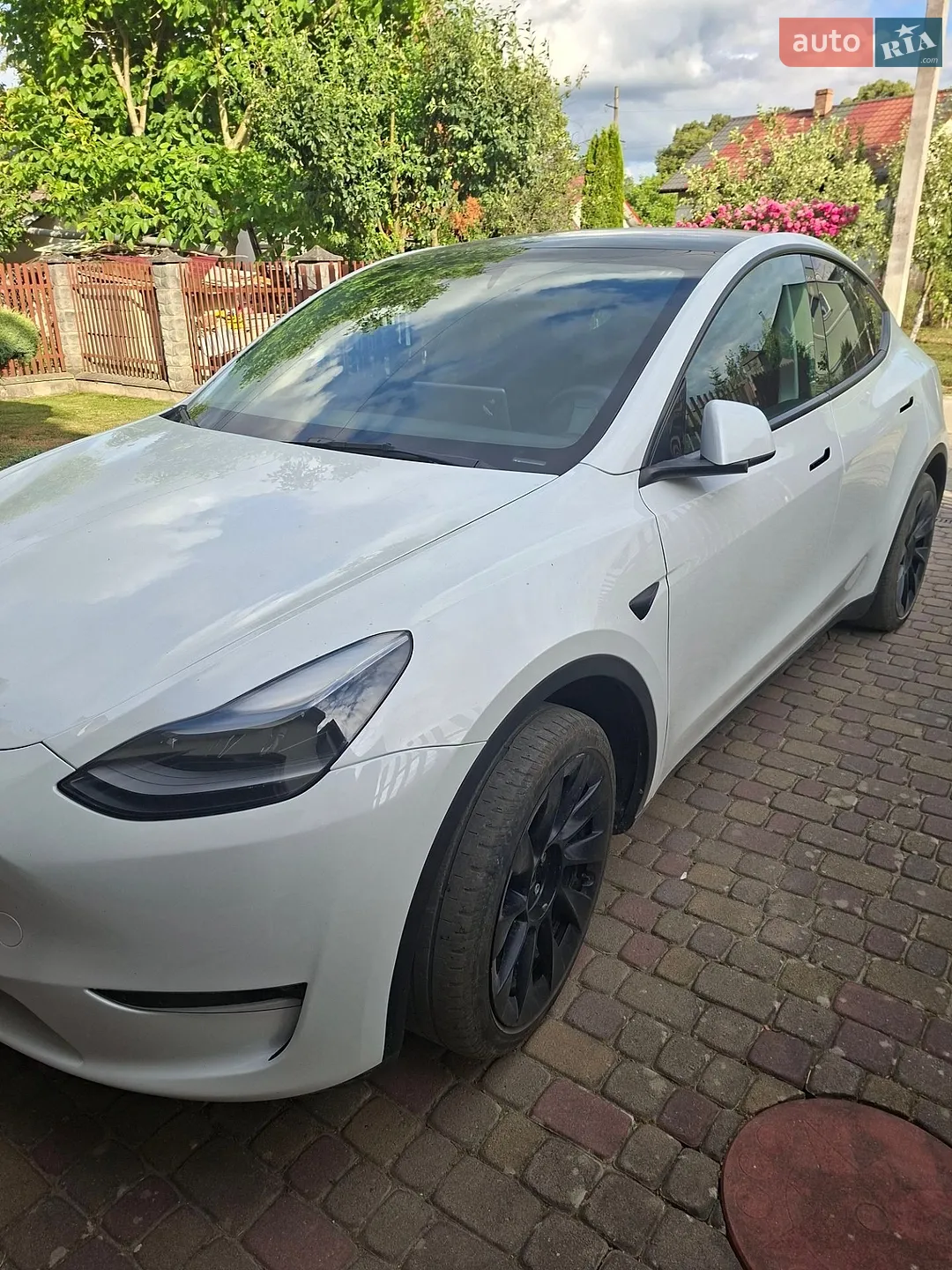 2024 Tesla Model Y - мініатюра 2