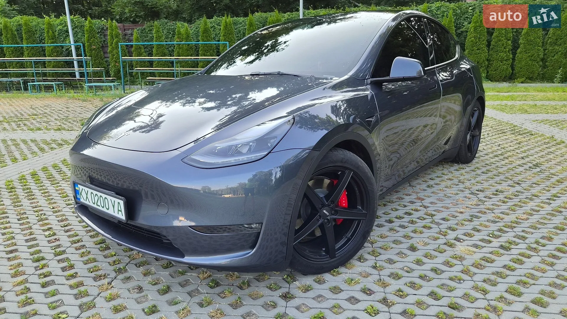 2023 Tesla Model Y - фото 1
