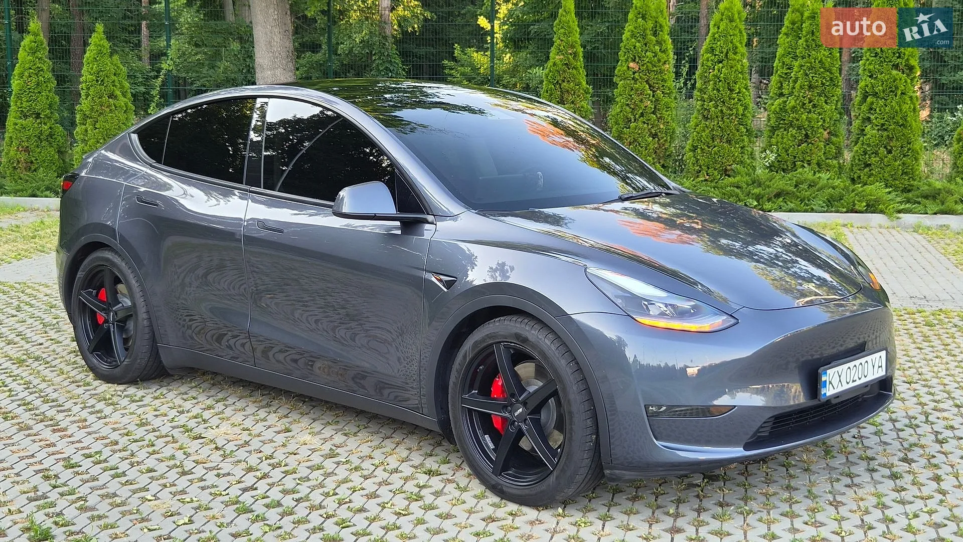 2023 Tesla Model Y - мініатюра 16