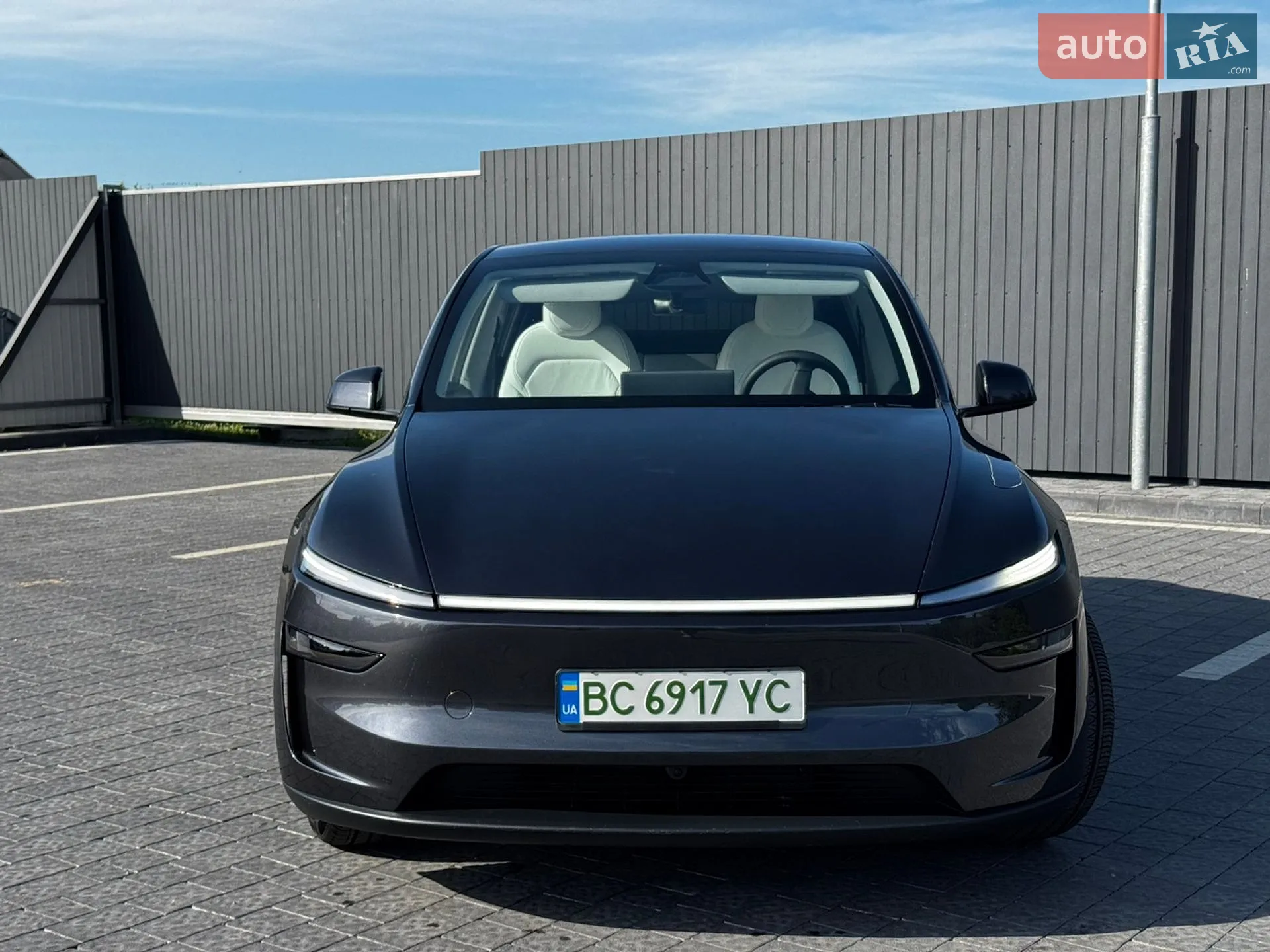 2025 Tesla Model Y - мініатюра 3
