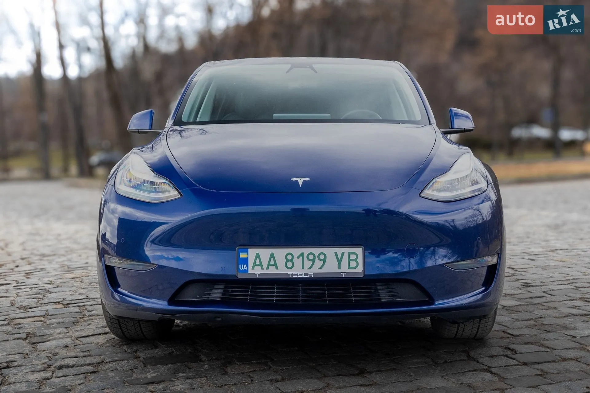 2020 Tesla Model Y - мініатюра 2