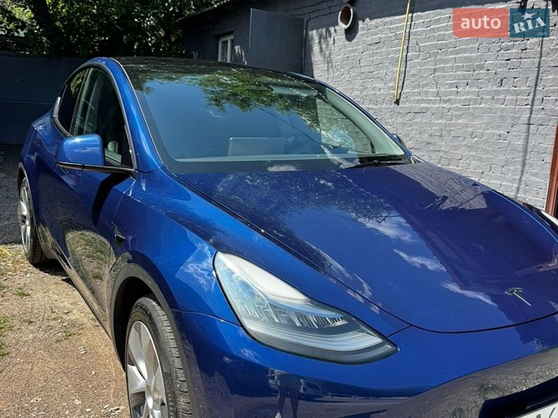 Позашляховик / Кросовер Tesla Model Y 2021 в Києві