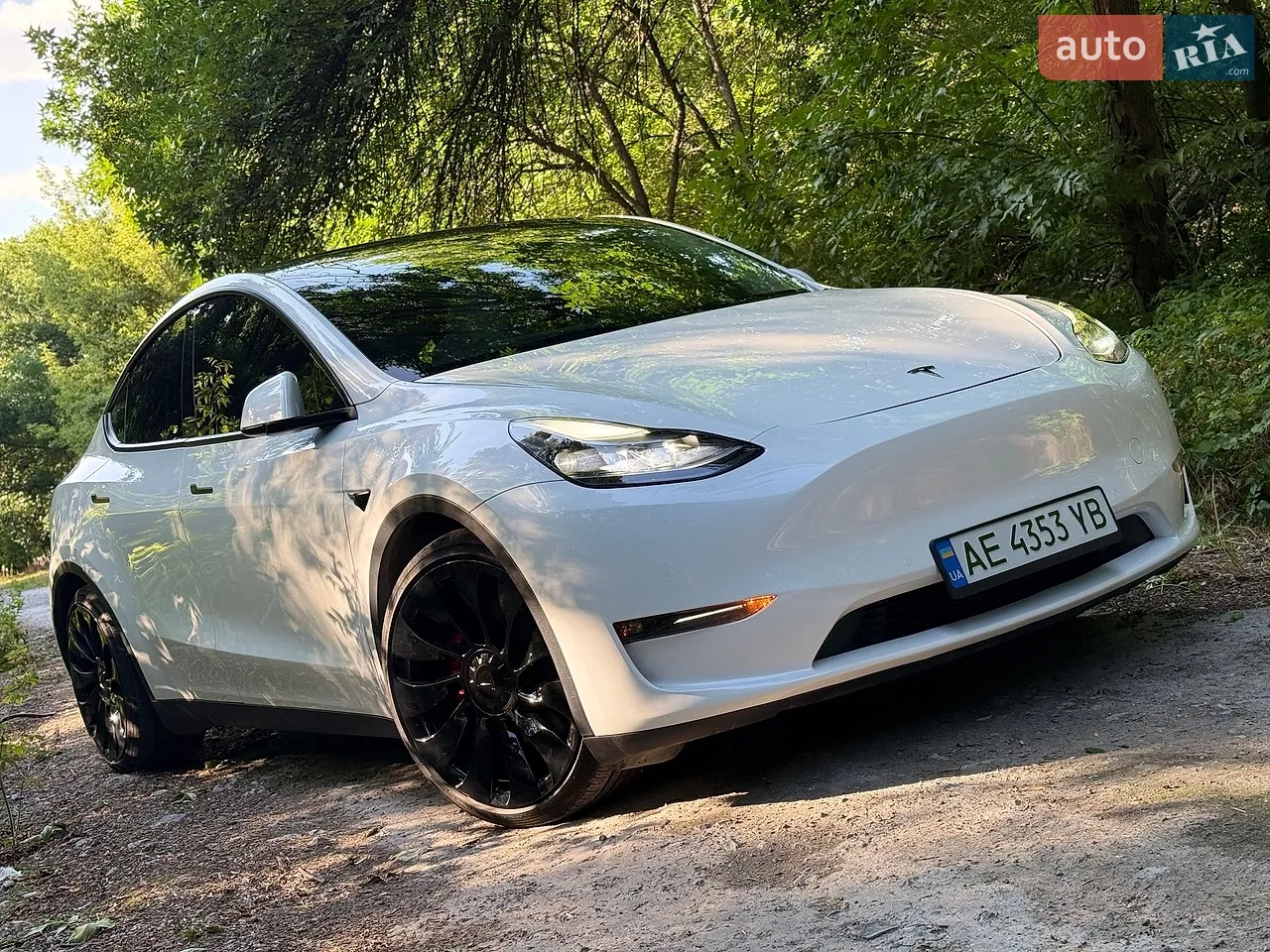 2021 Tesla Model Y - мініатюра 25