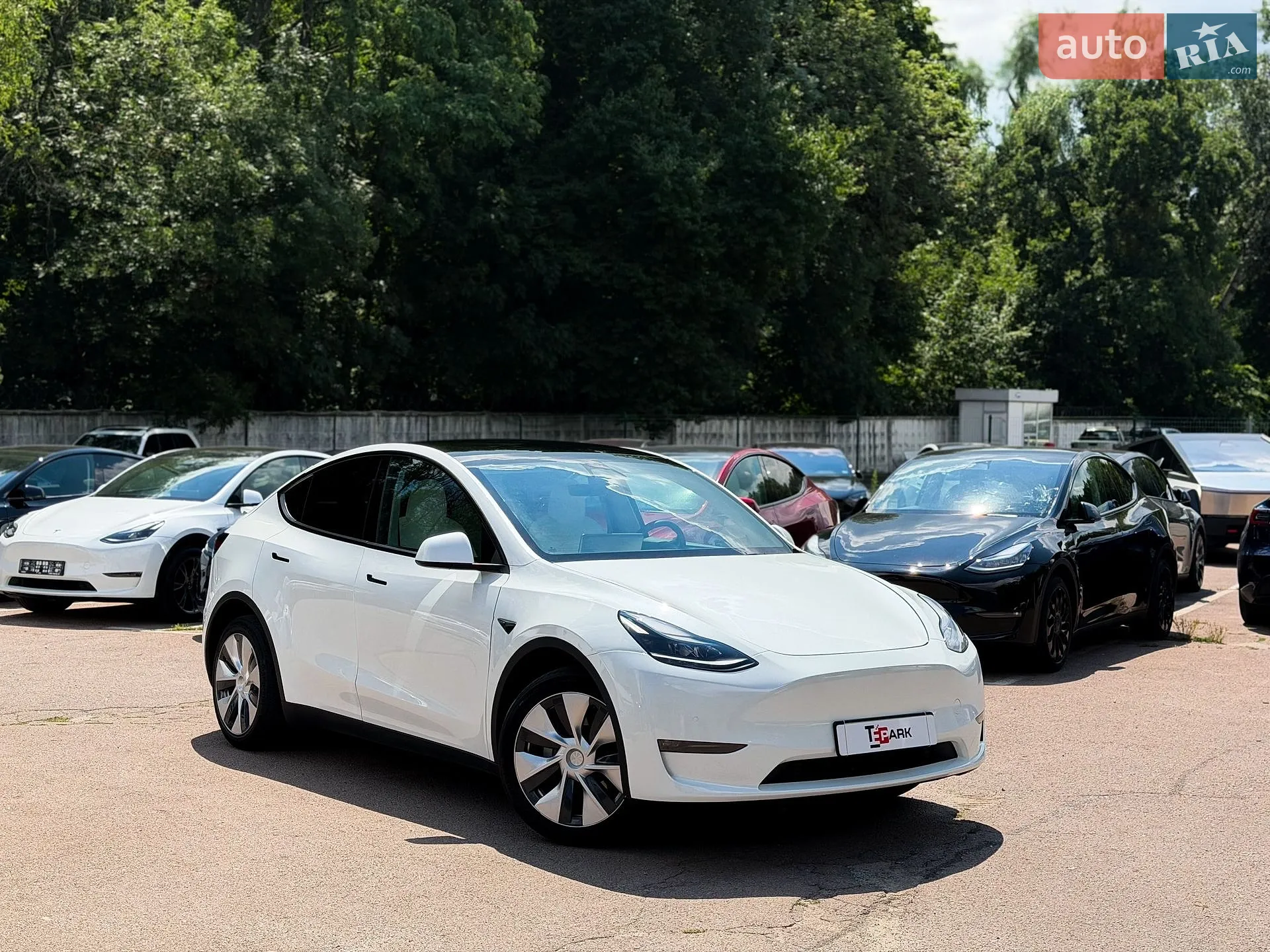 2022 Tesla Model Y - мініатюра 2