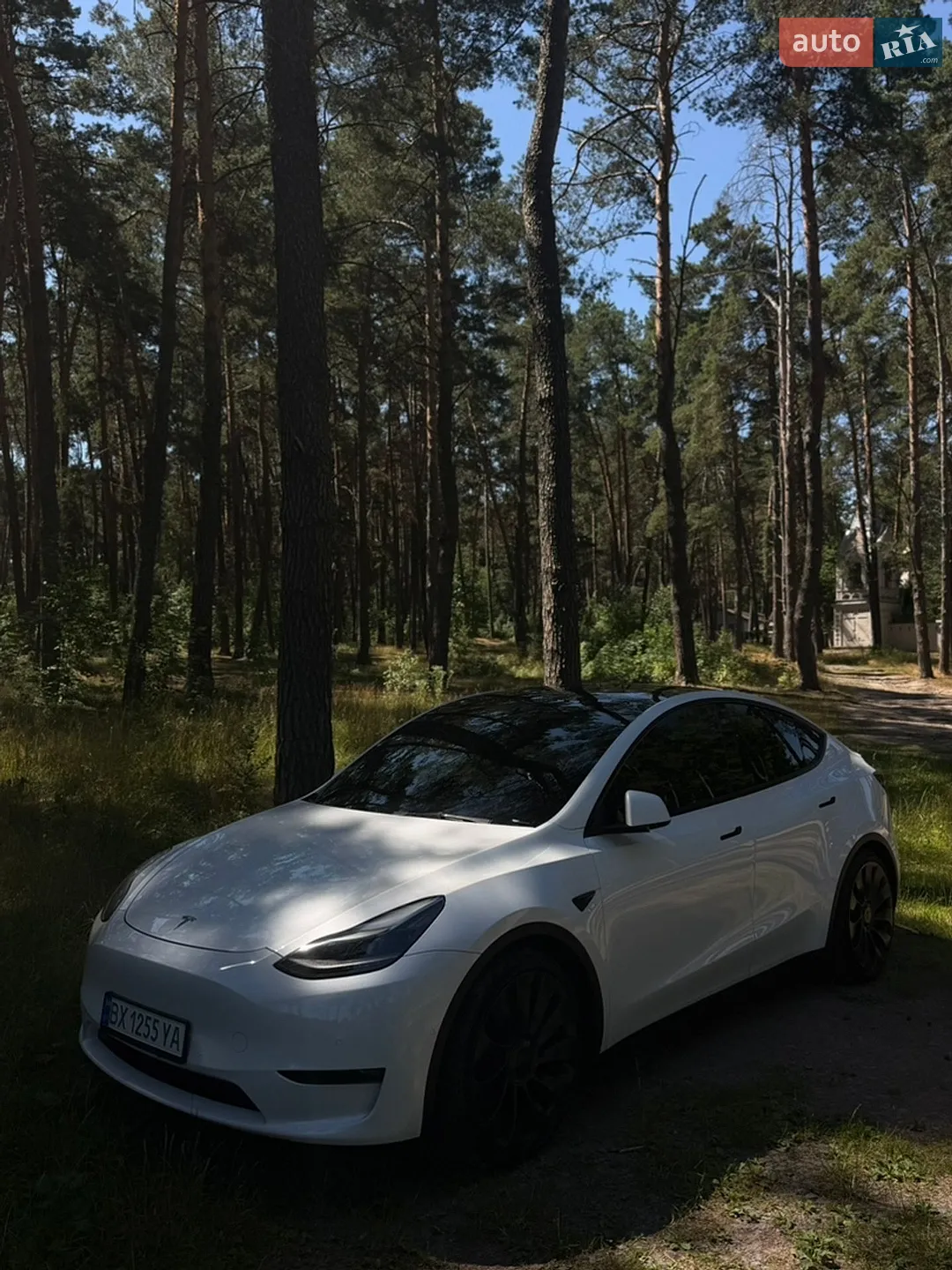 2022 Tesla Model Y - мініатюра 2