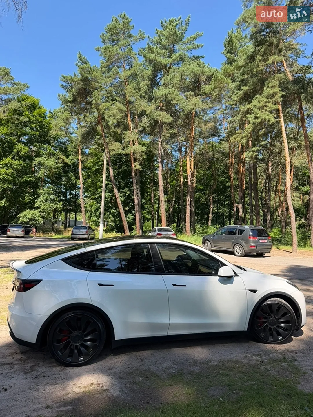 2022 Tesla Model Y - мініатюра 4