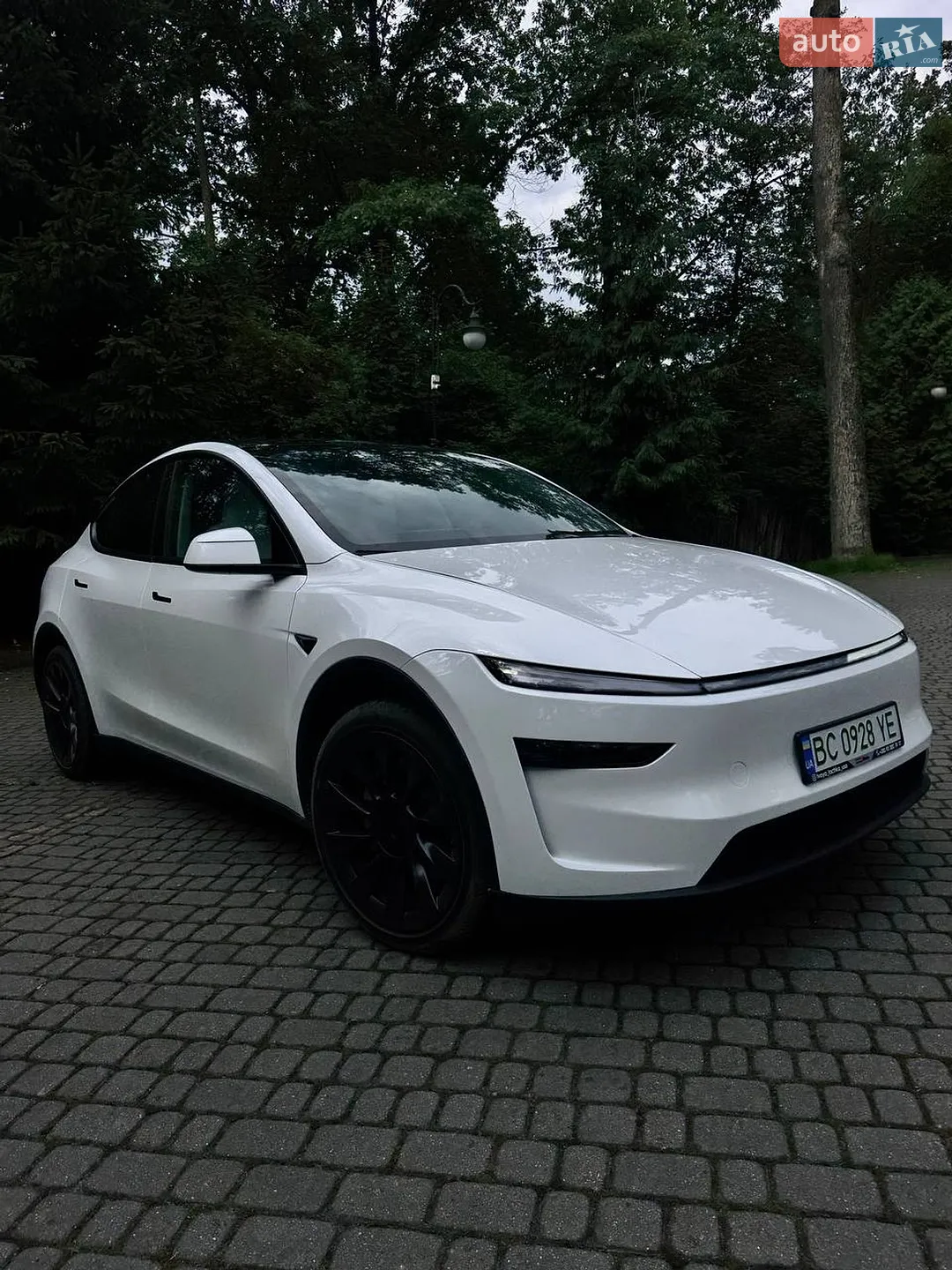 2025 Tesla Model Y - мініатюра 3