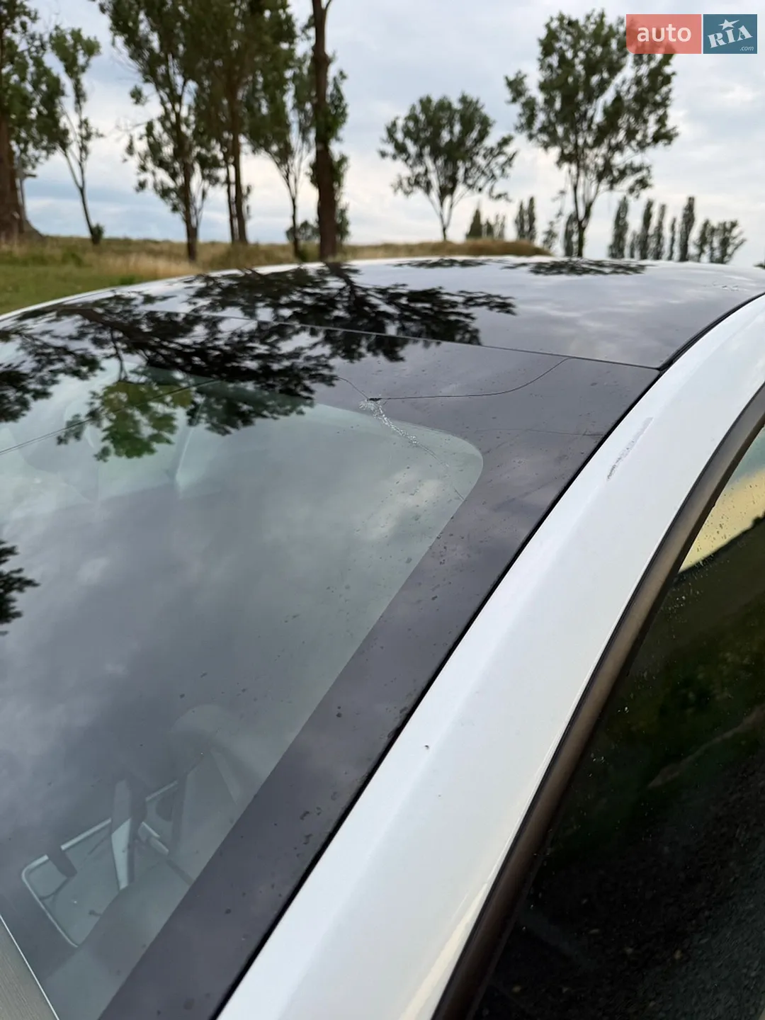 2021 Tesla Model Y - мініатюра 12