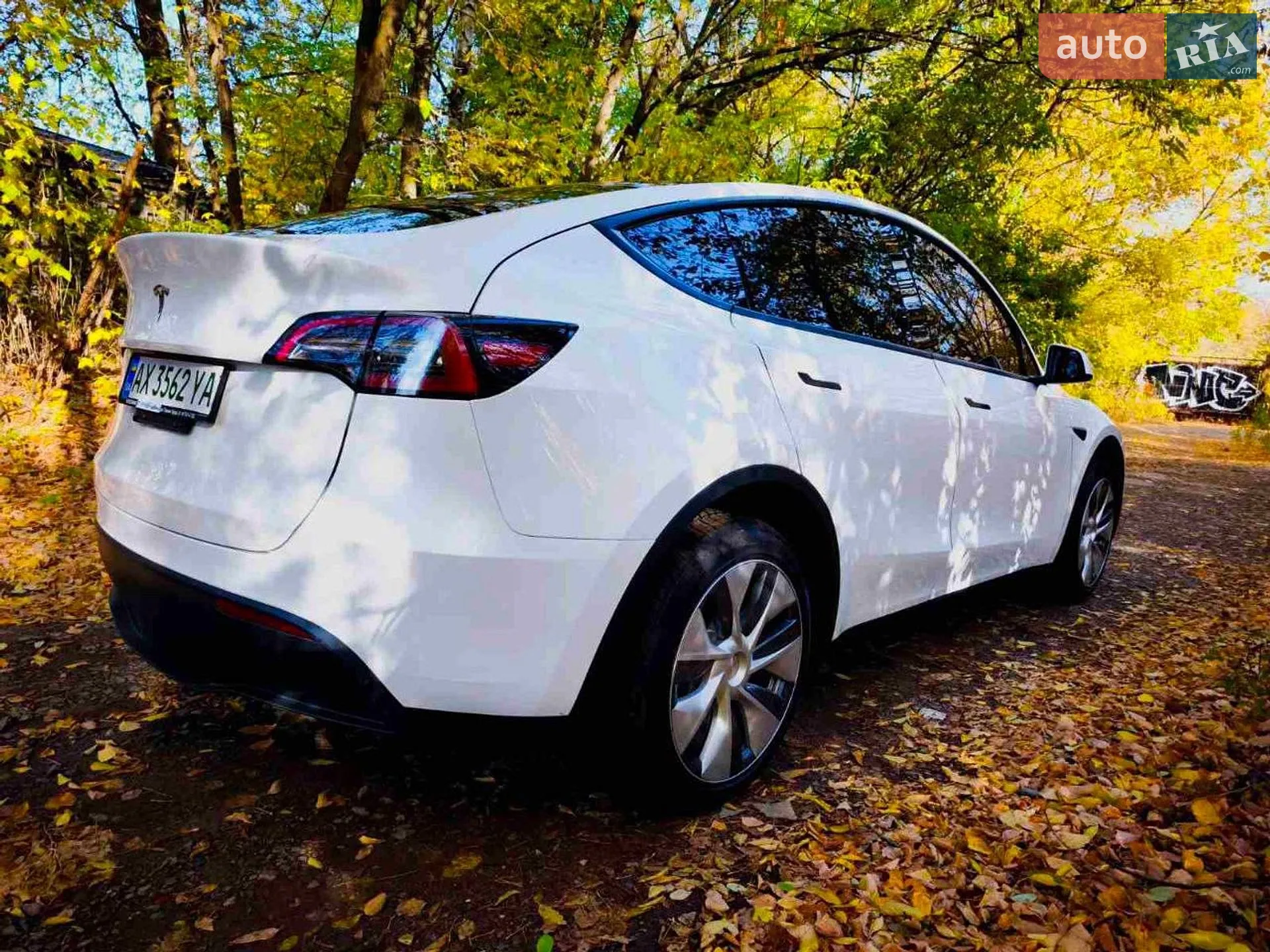 2023 Tesla Model Y - мініатюра 6
