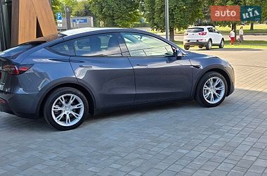 Позашляховик / Кросовер Tesla Model Y 2023 в Луцьку