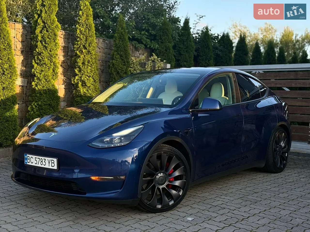 2022 Tesla Model Y - мініатюра 19