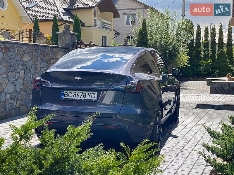 Позашляховик / Кросовер Tesla Model Y 2023 в Трускавці