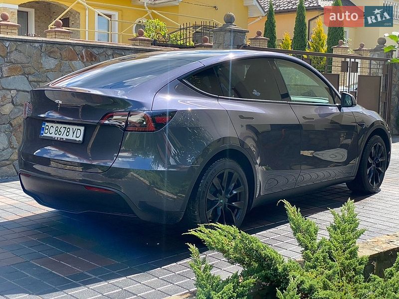 Позашляховик / Кросовер Tesla Model Y 2023 в Трускавці