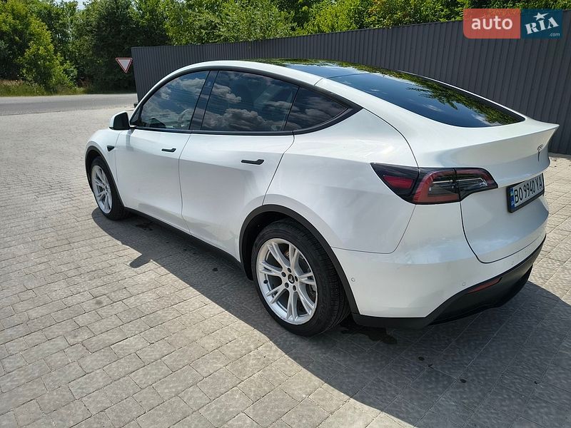 Позашляховик / Кросовер Tesla Model Y 2021 в Тернополі