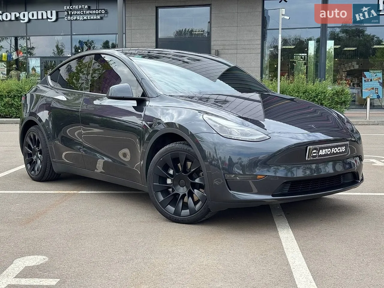 2024 Tesla Model Y - фото 1
