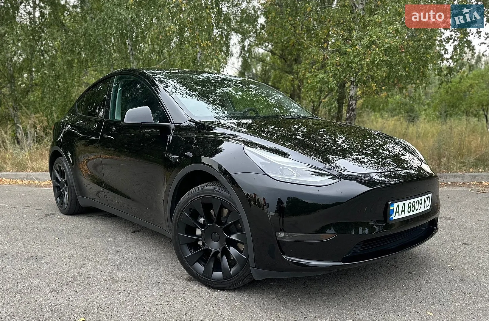 Tesla Model Y 2024 VIN 7SAYGDED4RF196639 фото оголошення 20 з 23