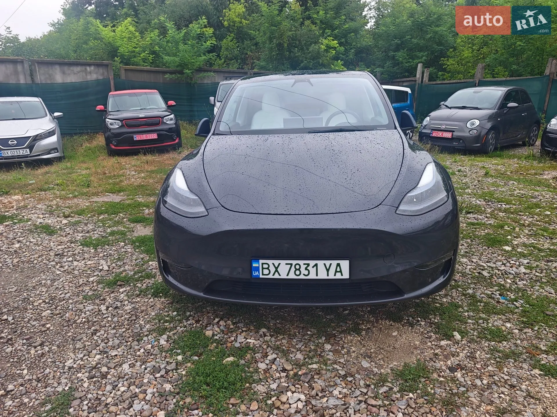 2021 Tesla Model Y - мініатюра 2