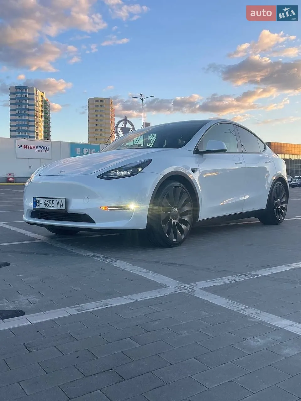 2022 Tesla Model Y - фото 1