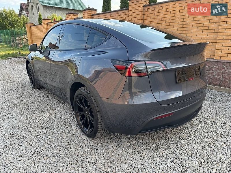 Внедорожник / Кроссовер Tesla Model Y 2023 в Житомире