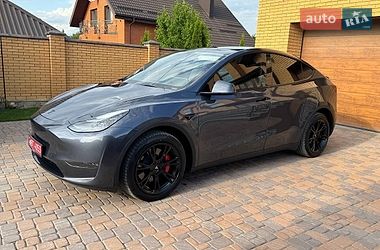 Внедорожник / Кроссовер Tesla Model Y 2023 в Житомире