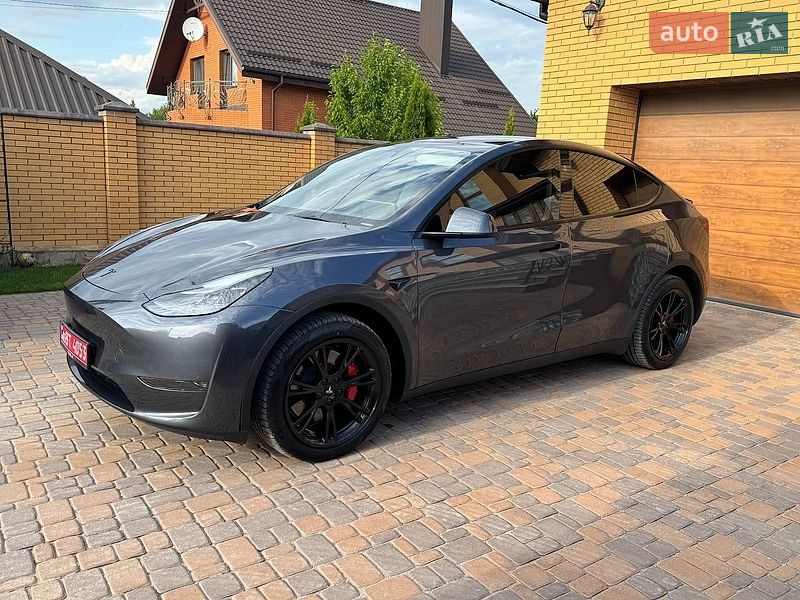 Внедорожник / Кроссовер Tesla Model Y 2023 в Житомире