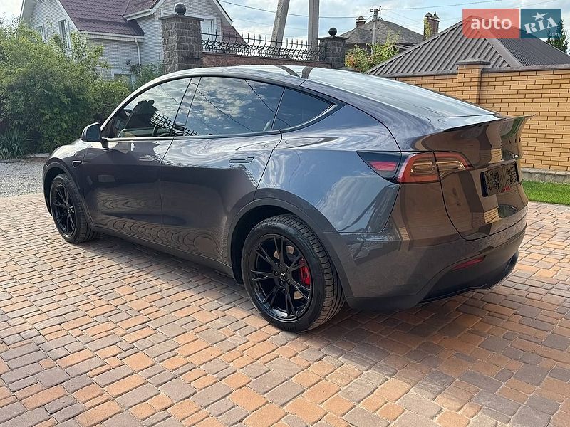 Внедорожник / Кроссовер Tesla Model Y 2023 в Житомире