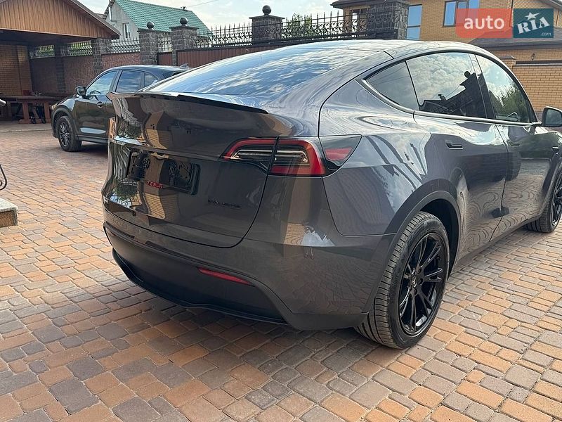 Внедорожник / Кроссовер Tesla Model Y 2023 в Житомире