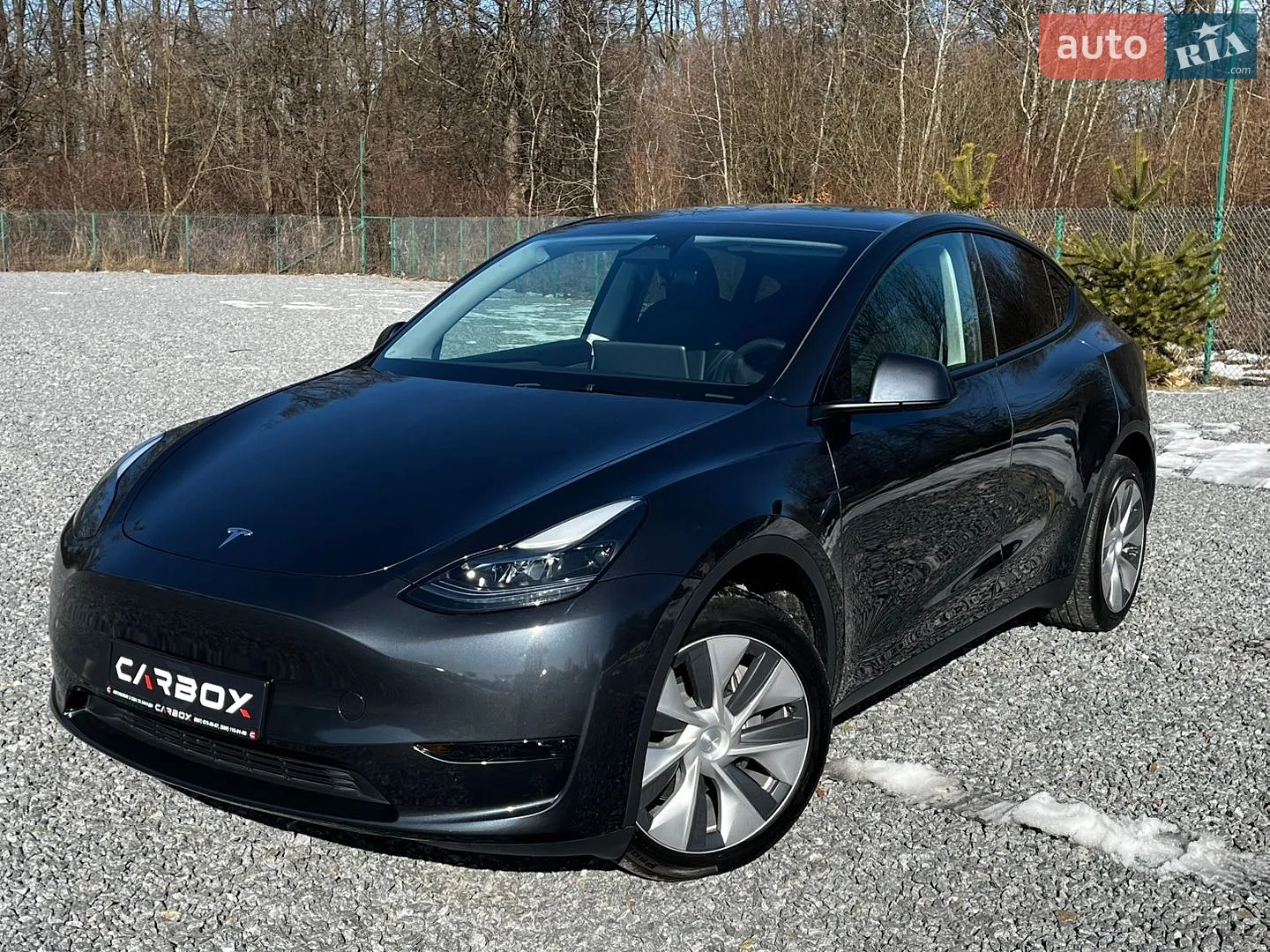 2024 Tesla Model Y - фото 1