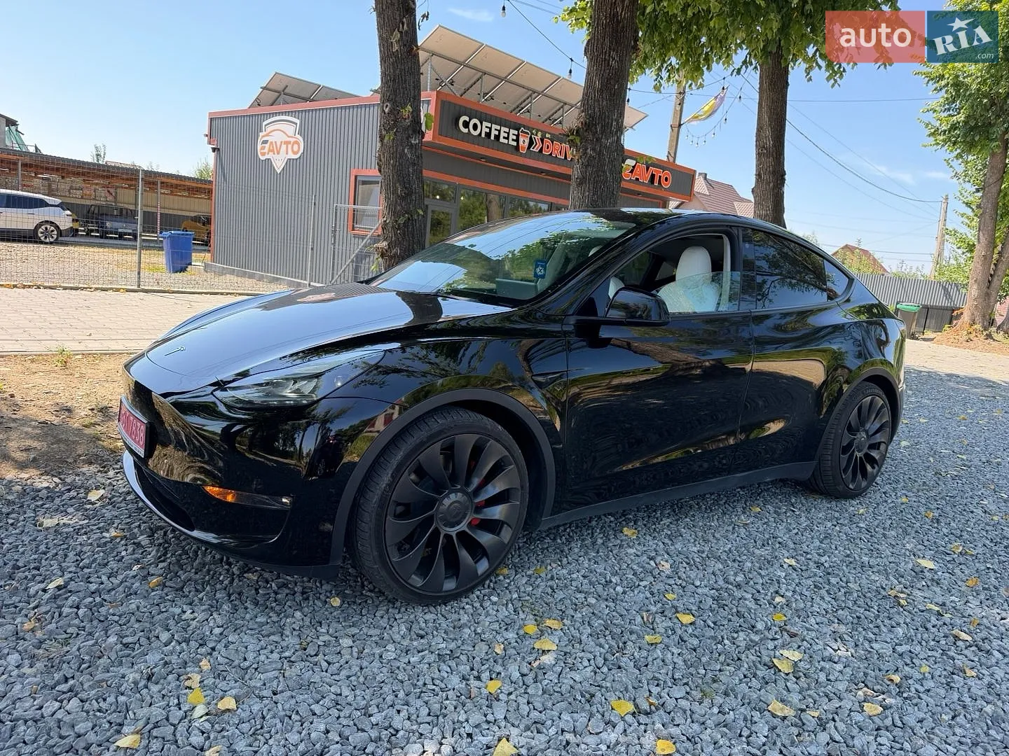 2022 Tesla Model Y - фото 1