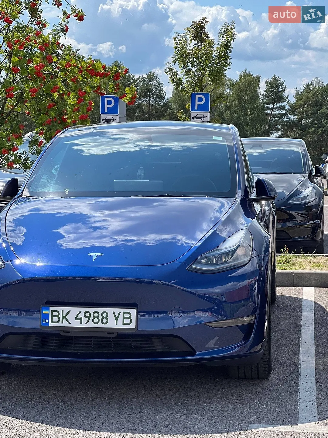 2024 Tesla Model Y - мініатюра 20
