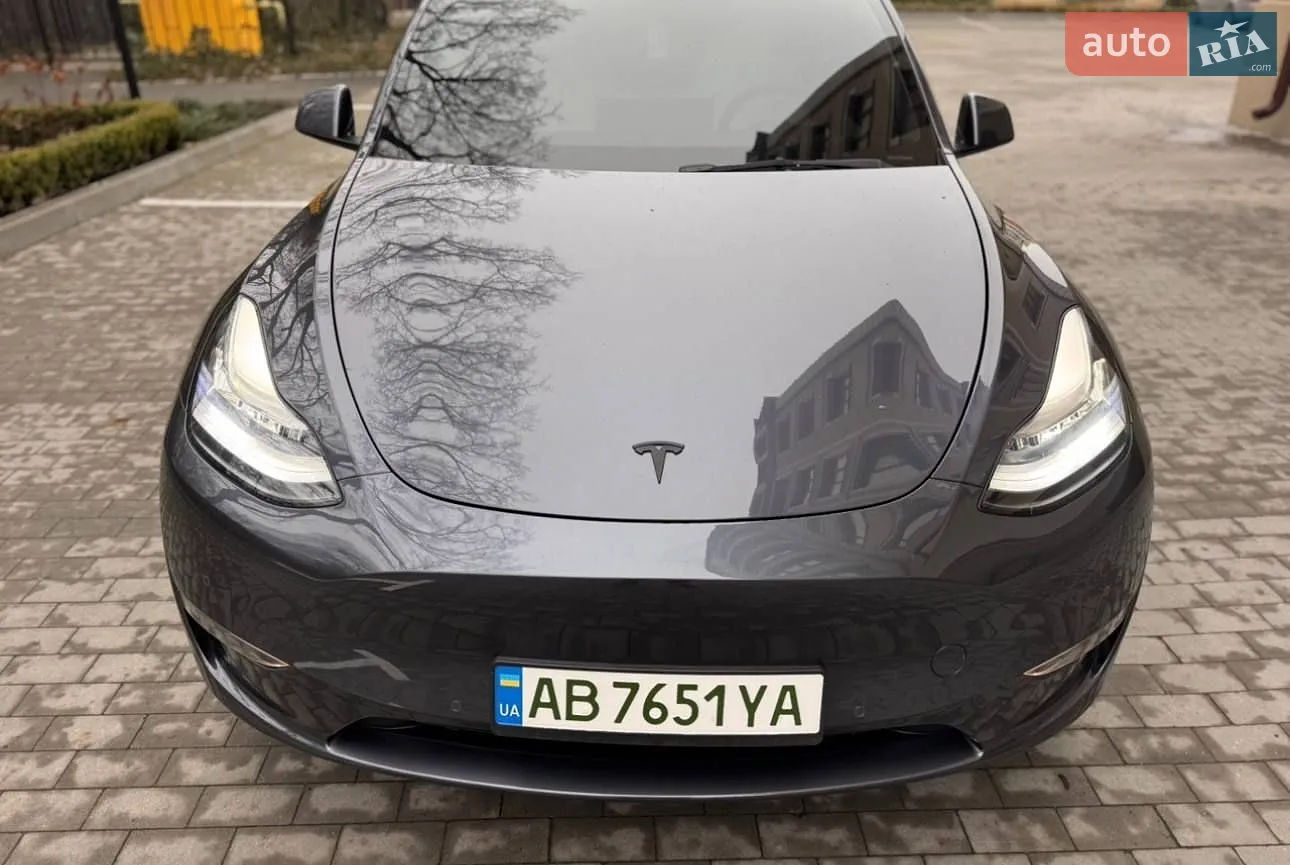 2021 Tesla Model Y - мініатюра 2