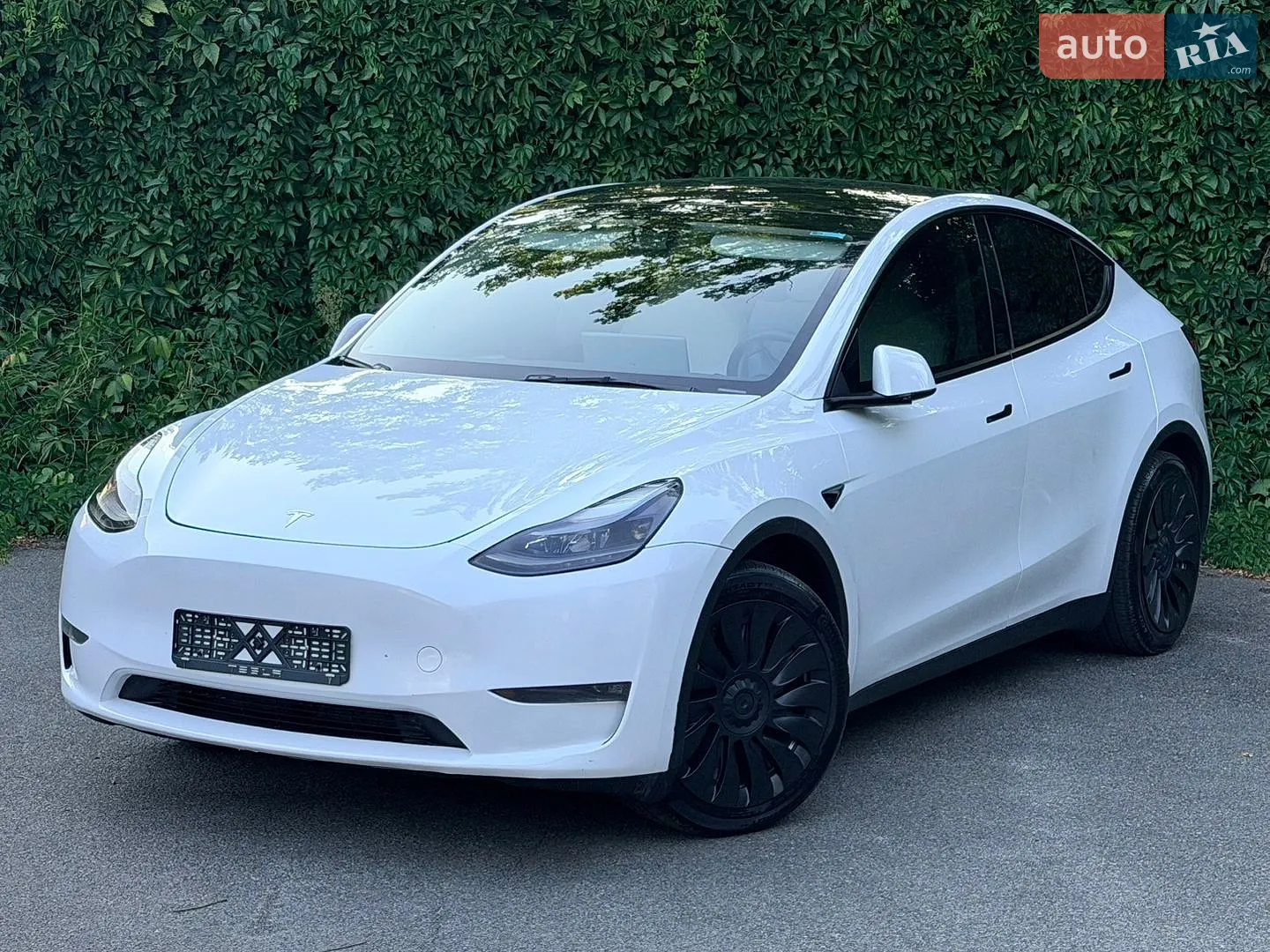 2024 Tesla Model Y - фото 1