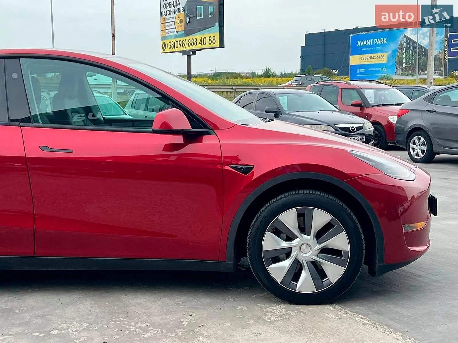 2024 Tesla Model Y - мініатюра 12